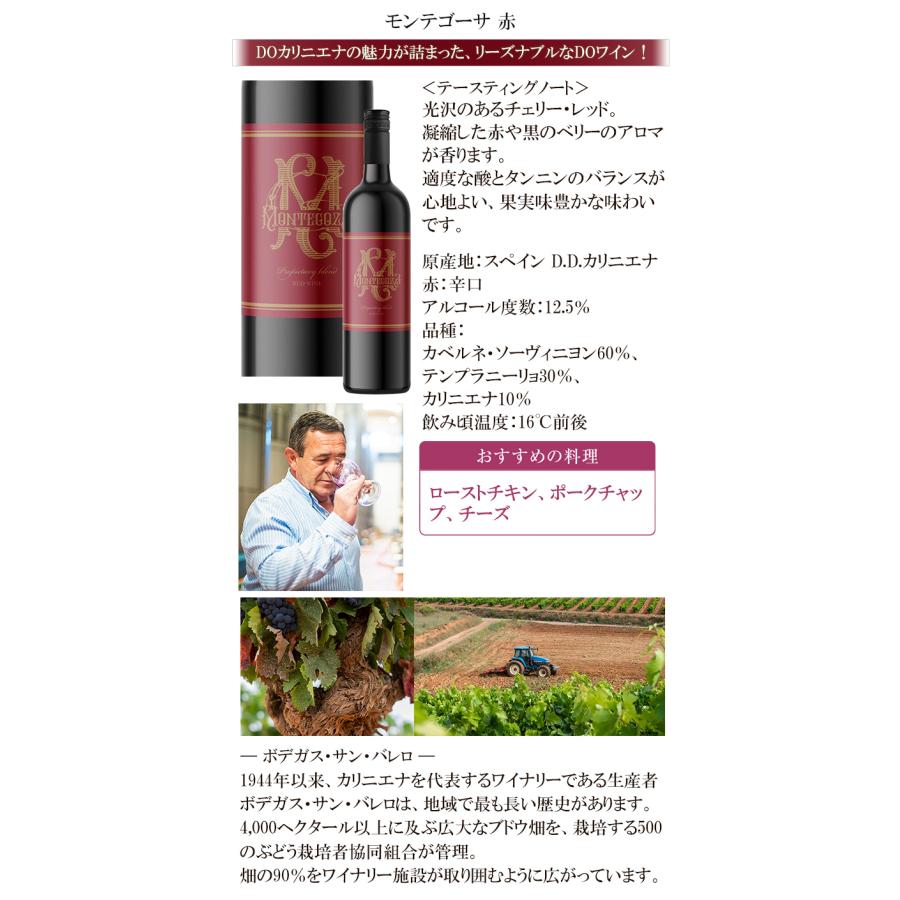 ワイン ワインセット 超コスパ 厳選お買い得 赤ワイン 10本 赤ワインセット 【ペルノ】 辛口 送料無料