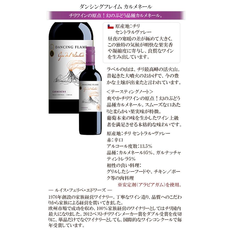 ワイン ワインセット 赤ワイン 赤 ワインセット12本 辛口 赤ワインセット｜viva-vino｜06