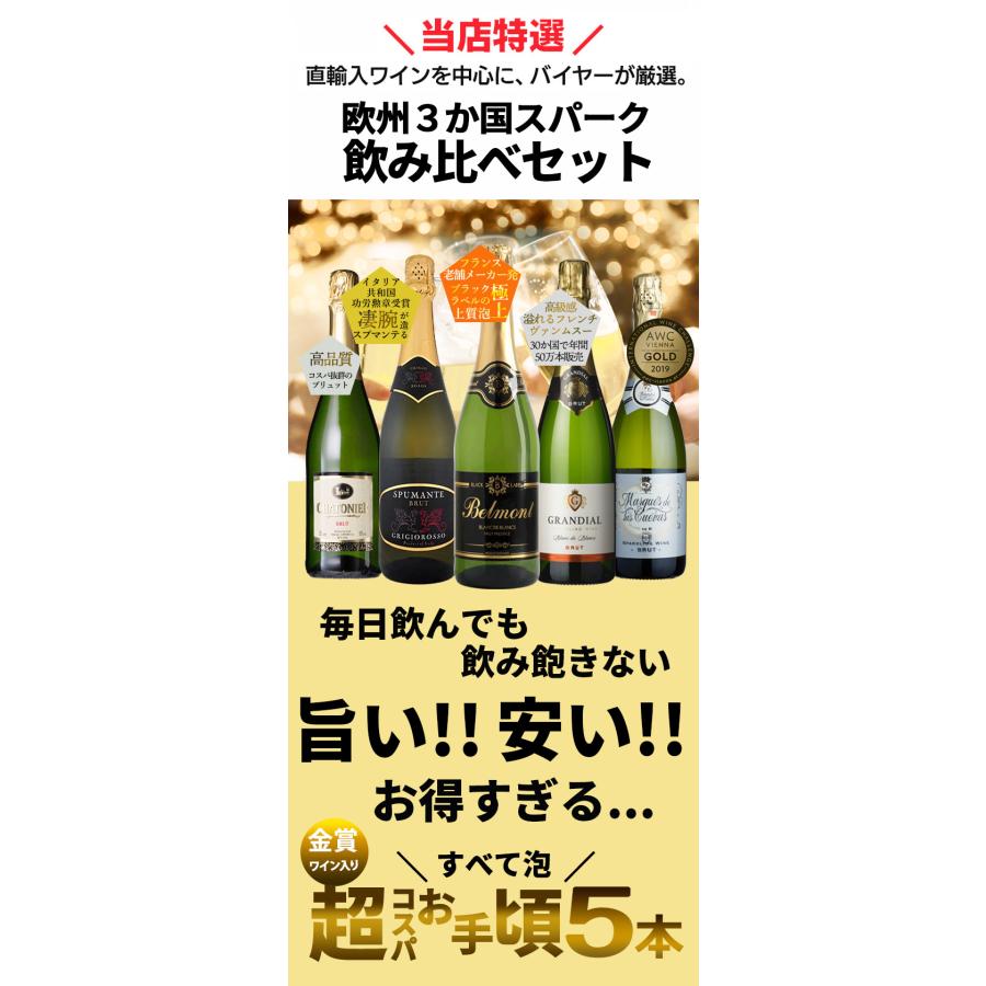 ワインセット お得すぎる 欧州3カ国 スパークリングワイン 飲み比べ 5本セット スパークリングセット 泡 スパーク 辛口 金賞受賞｜viva-vino｜03