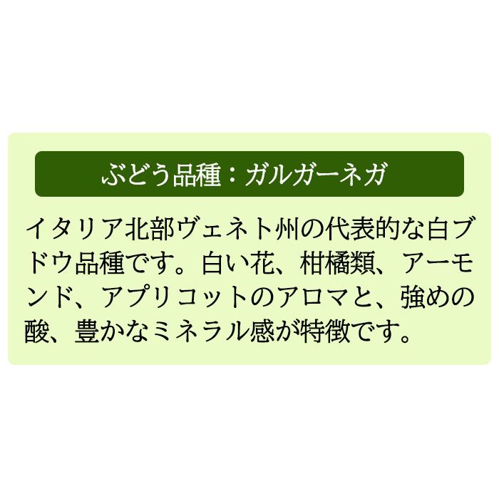 ワイン ワインセット ソムリエおすすめ 品種飲み比べ 全て金賞 厳選白