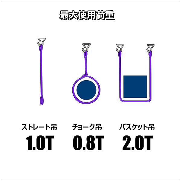 ベルトスリング 幅 25mm 長さ 3m CE規格品 ストレート吊り 1.0t ナイロンスリングベルト 荷吊りベルト｜vivaenterplise｜09