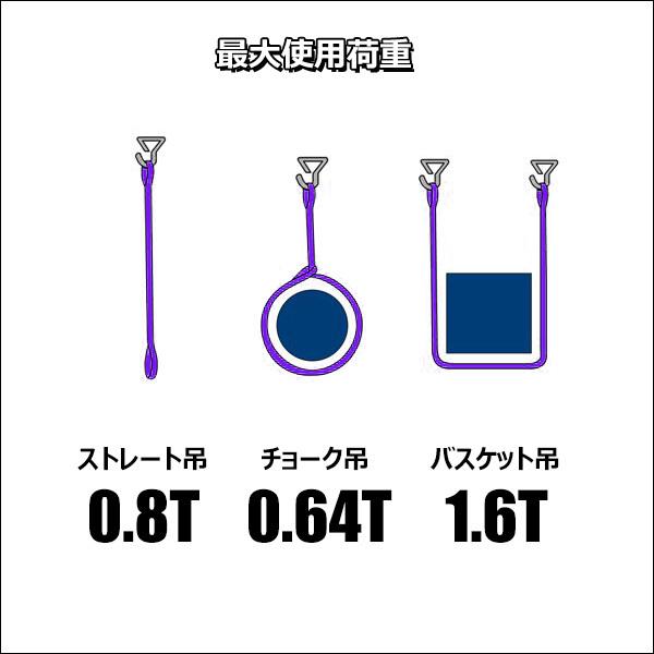 ベルトスリング 幅 25mm 長さ 5m 両アイ型 ストレート吊り 0.8t ベルトスリング 幅 25mm 長さ 5m 両アイ型 ストレート吊り 0.8t