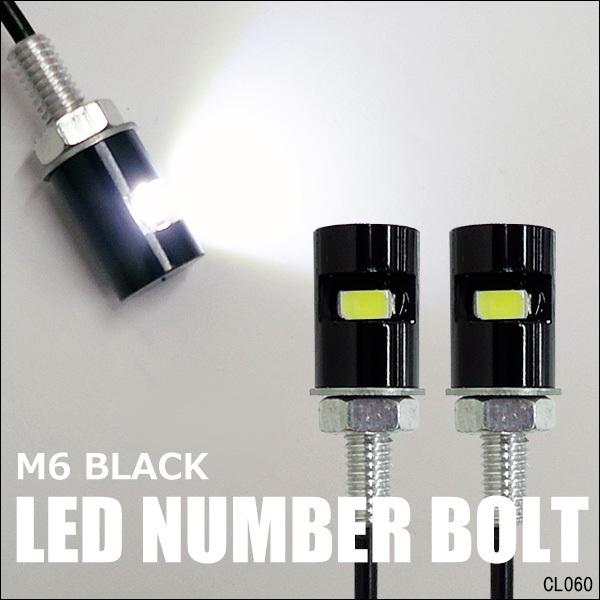 高品質の人気 LED スポットライト ボルト ナンバー灯 汎用 M6仕様 銀2個セット 大玉 ボルト型 1.5W LED スポットライト グリーン 銀 P-494