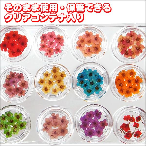 送料無料 デコ＆ネイル&レジン封入などハンドメイドに ドライフラワー  