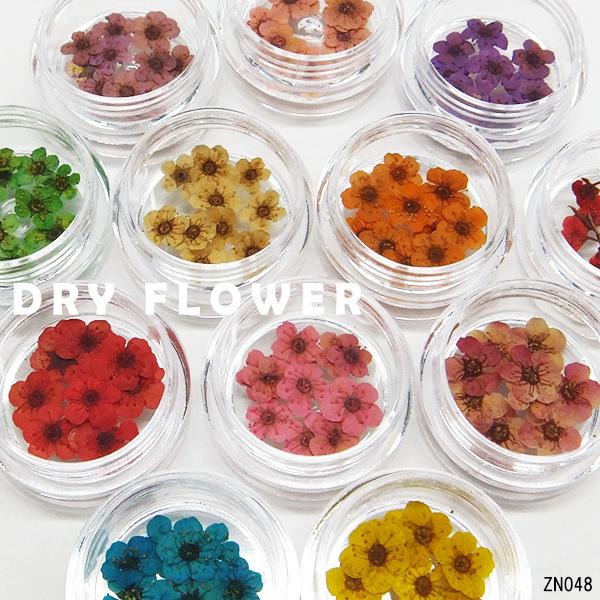 送料無料 デコ＆ネイル&レジン封入などハンドメイドに ドライフラワー  