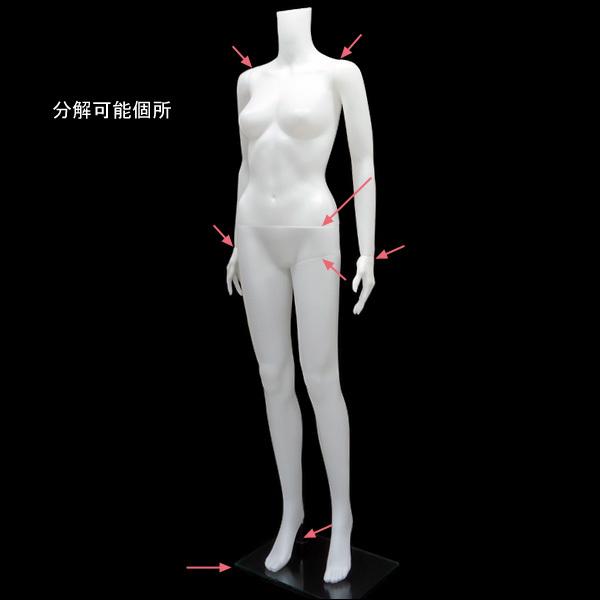 レディース マネキン ヘッドレス 女性 婦人 ナイスボディ 女性用 レディース マネキン ヘッドレス 女性 婦人 ナイスボディ 女性用