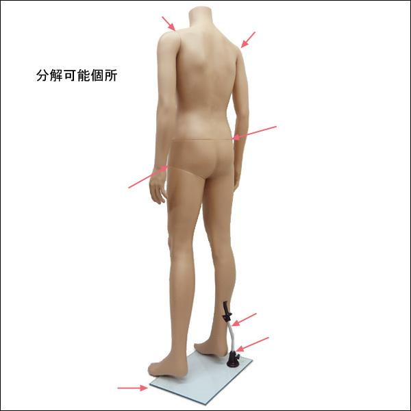 紳士 マネキン メンズ 男性 ヘッドレスマネキン 全身 軽量 (2 紳士 マネキン メンズ 男性 ヘッドレスマネキン 全身 軽量 (2