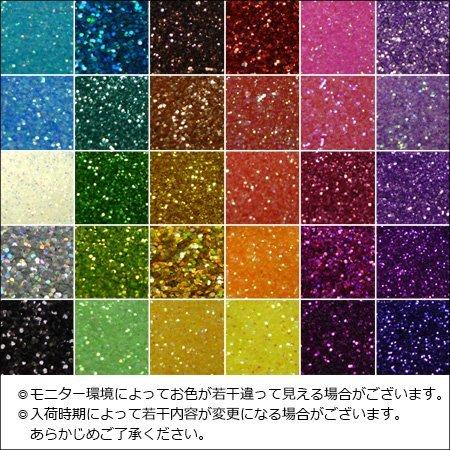 ラメパウダー 30色セット 塗装 キラキラ ネイル セルフネイル レジン グリッター ネイルアート レジン封入 ハンドメイド アート｜vivaenterplise｜03