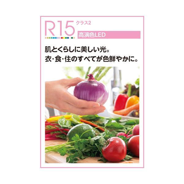 ODELIC（オーデリック） OL551289NR (旧品番 OL251289N)オーデリック