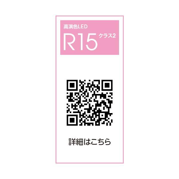 ODELIC（オーデリック） OL551289NR (旧品番 OL251289N)オーデリック