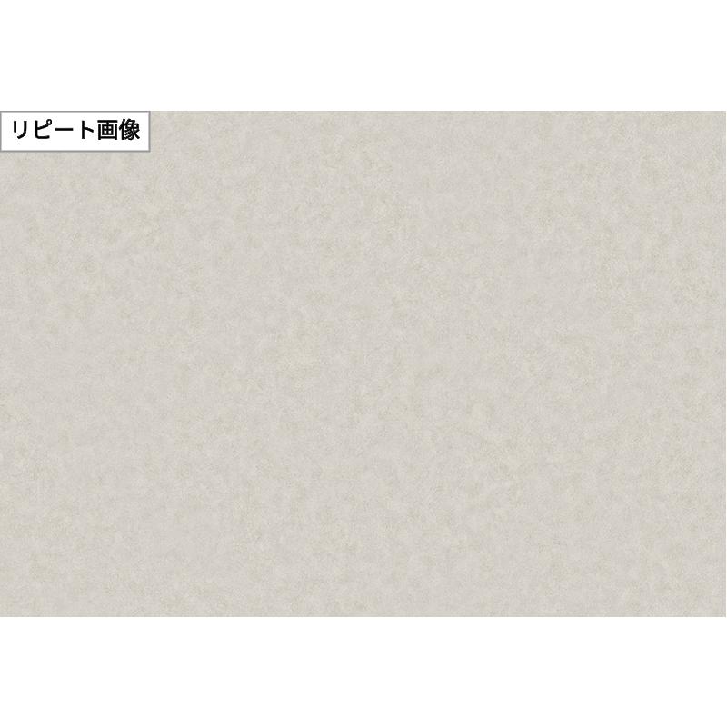 サンゲツ（SANGETSU） FE76409 壁紙 コンクリート調 グレー系 スーパー