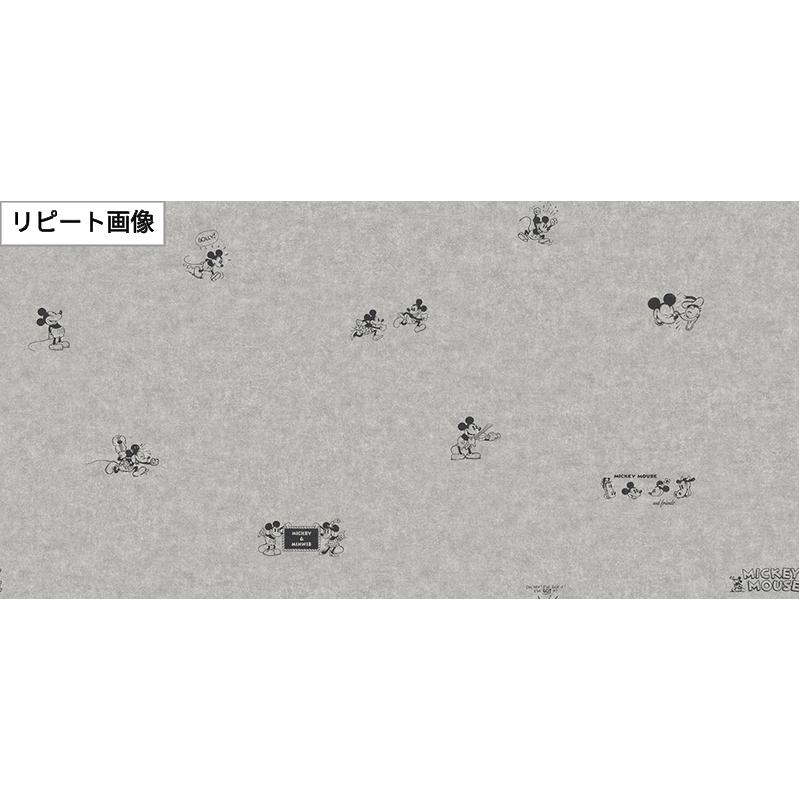 サンゲツ（SANGETSU） FE78681 壁紙 Disney 壁紙貼り替え リフォーム