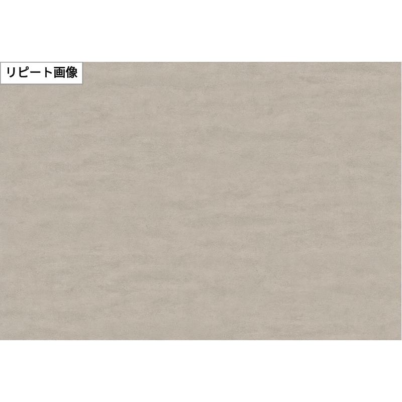 サンゲツ（SANGETSU） FE78142 壁紙 コンクリート調 コンクリート柄