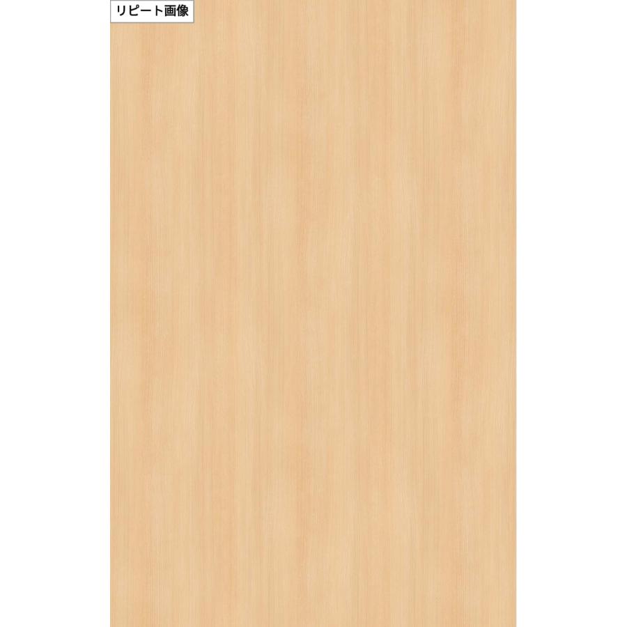 サンゲツ TC-5054 リアテック カッティングシート 122cm巾