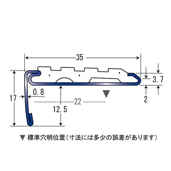 アメジスト トップクォリティ]ブラジル産アメジストクラスター（大型原石2.5