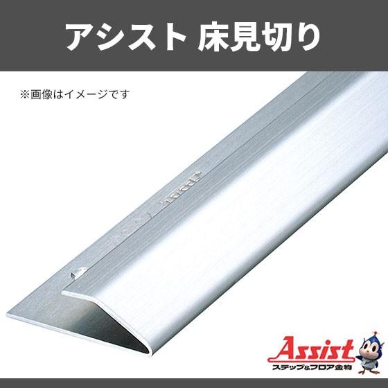 床見切り アシスト 20-304 穴有 定尺2m 1本