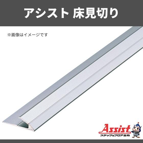 床見切り アシスト 20-404Sシルバー 穴有 定尺2m 1本 : ビバ建材通販