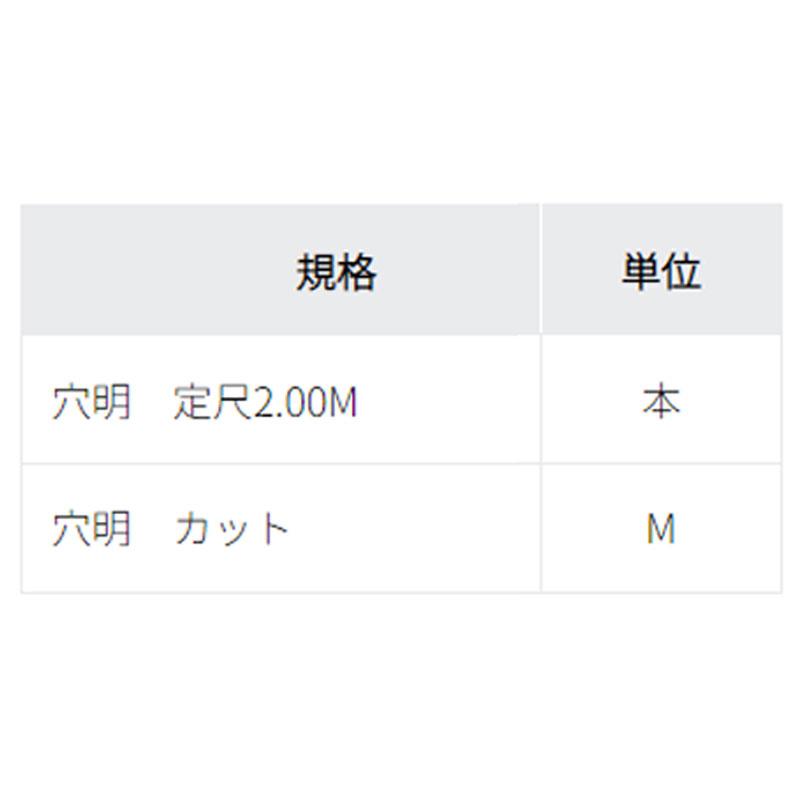 20-658 穴有 定尺2.00M 本売り アシスト 現場配送不可 : ビバ建材通販