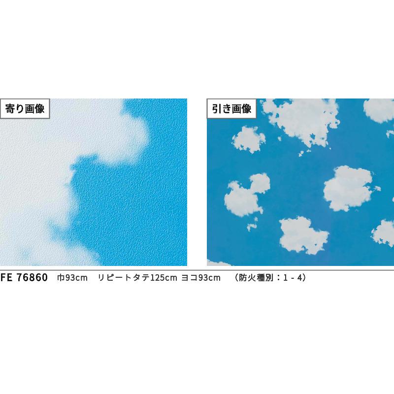 雲の壁 サンゲツ（SANGETSU） FE76860 壁紙 空柄 青空 雲 カジュアル 賃貸