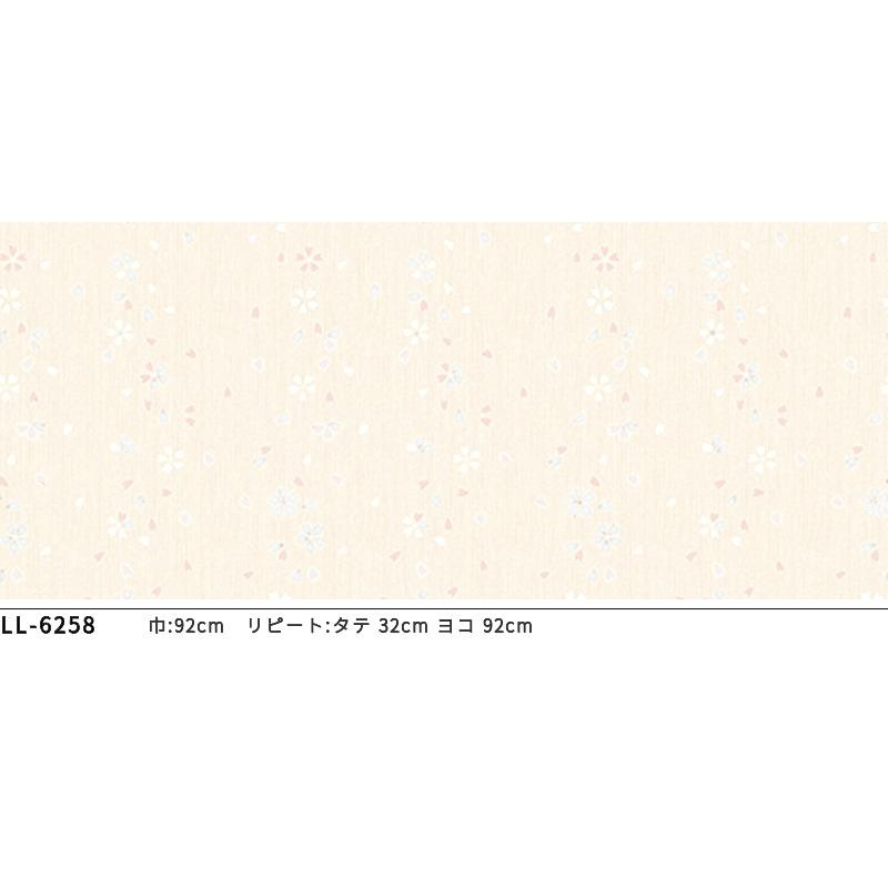 のりきらなかった画像 2008 Kawasaki Ninja ZX-10R