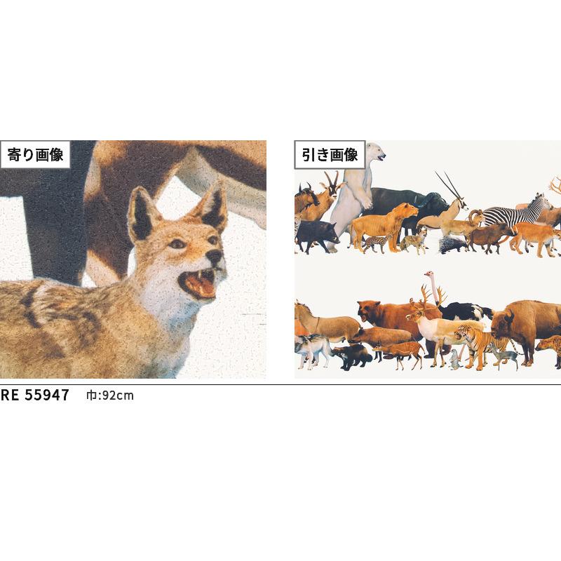 サンゲツ（SANGETSU） RE55947 壁紙 哺乳類 動物 ボーダー のりなし