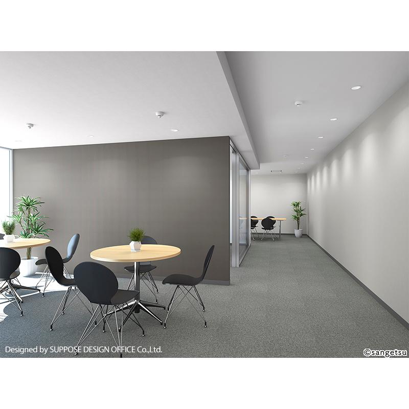 サンゲツ（SANGETSU） FE76122 壁紙 黒板クロス スーパー耐久性 グレー