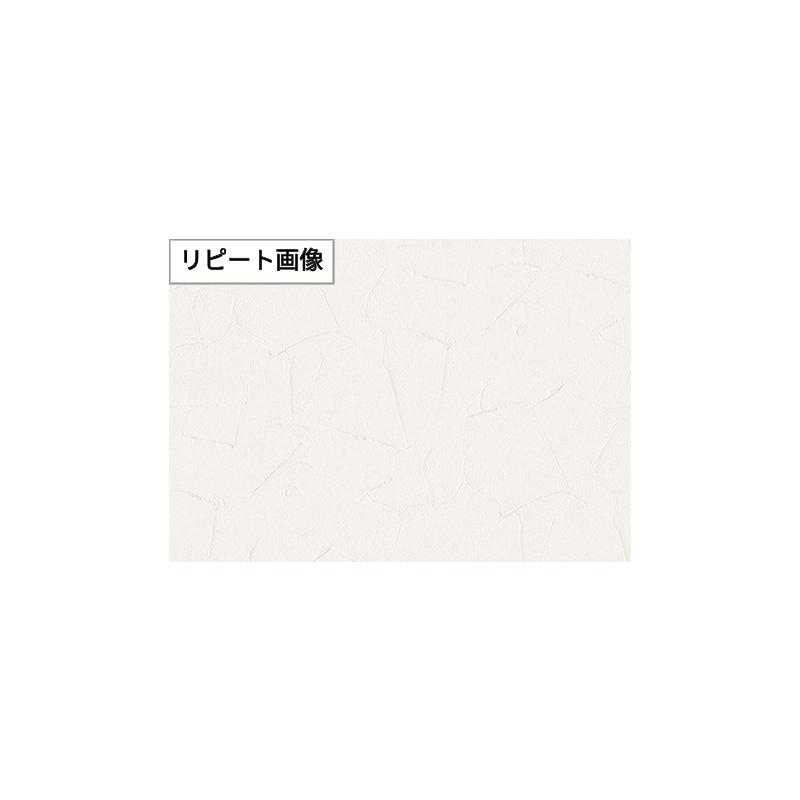 サンゲツ（SANGETSU） FE76389 壁紙 塗り調 ホワイト系 フィルム汚れ 
