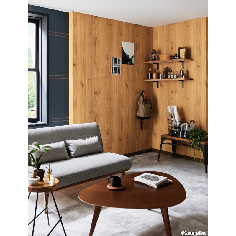 専用ページ 鉄セットナベ小ネジ（SRW付）/F-SRE 製品詳細【廣杉計器】