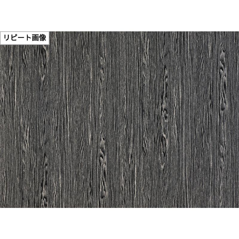 サンゲツ（SANGETSU） FE78737 壁紙 モダン 壁紙貼り替え リフォーム