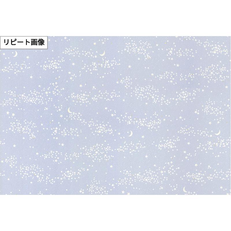 サンゲツ（SANGETSU） FE78673 壁紙 蓄光 壁紙貼り替え リフォーム