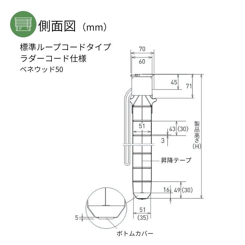 ウッドブラインド スタンダード 標準ループコード ベネウッド50 ラダーコード 幅805mm〜1000mm 高さ1810mm〜2000mm TOSO 送料無料_11