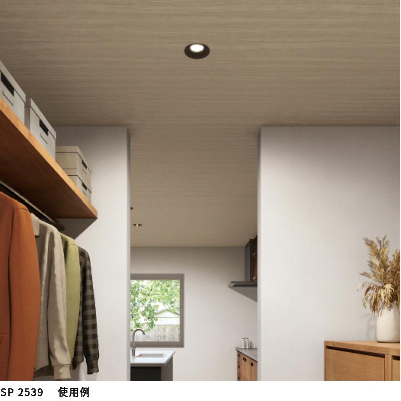 サンゲツ（SANGETSU） SP2539 壁紙 のりなし 量産クロス : ビバ建材