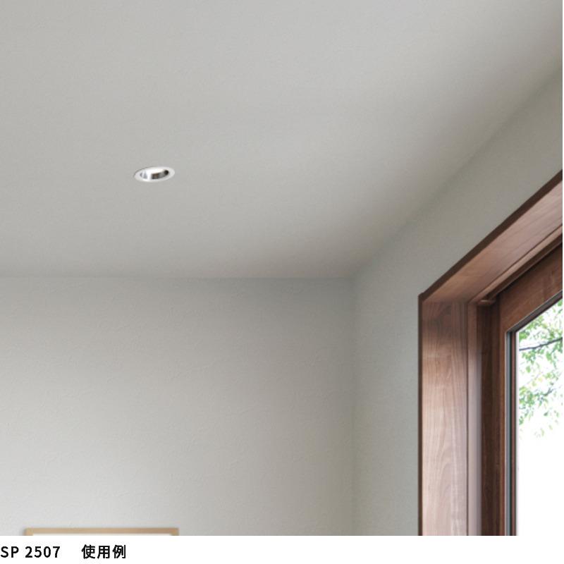 サンゲツ（SANGETSU） SP2507 壁紙 のりなし 量産クロス : ビバ建材 