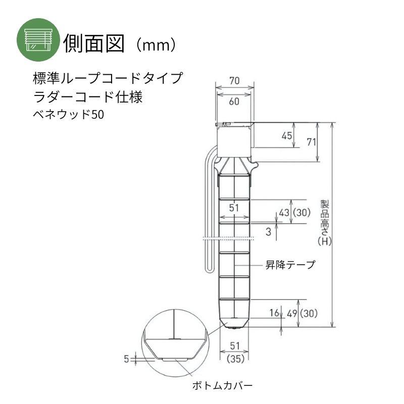 ウッドブラインド スペシャリティ アース 標準ループコード ラダーコード ベネウッド50 幅1605mm〜1800mm 高さ1010mm〜1200mm TOSO 送料無料_8