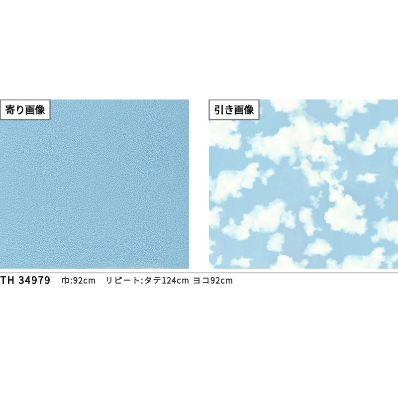 サンゲツ（SANGETSU） TH34979 壁紙 フェイス クロス 空柄 青空 雲
