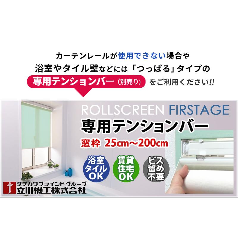タチカワブラインド ロールスクリーン オーダー シエロン 送料無料