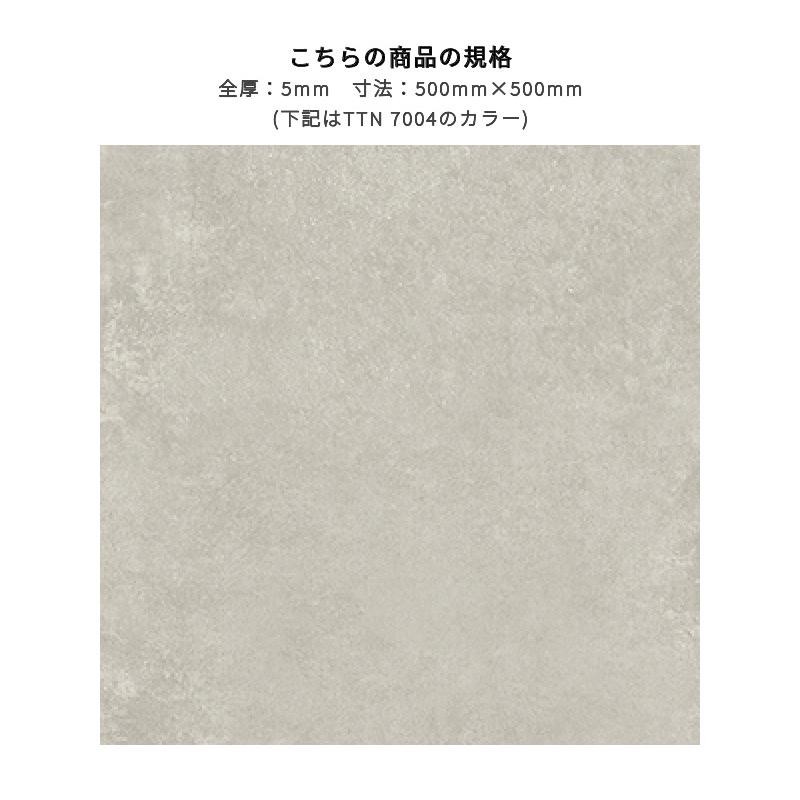 ルースレイマスターNW-EX ドゥオールコンクリート TTN7004 フロアタイル 東リ 5mm厚 500mm×500mm 10枚入 ケース販売_1