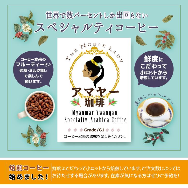 アマヤーコーヒー まるも アマヤー珈琲 【ティーバッグ 7個入