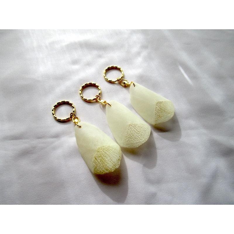 ピラルクのウロコ XLサイズ 1個】白系 世界最大級の淡水魚でとても希少