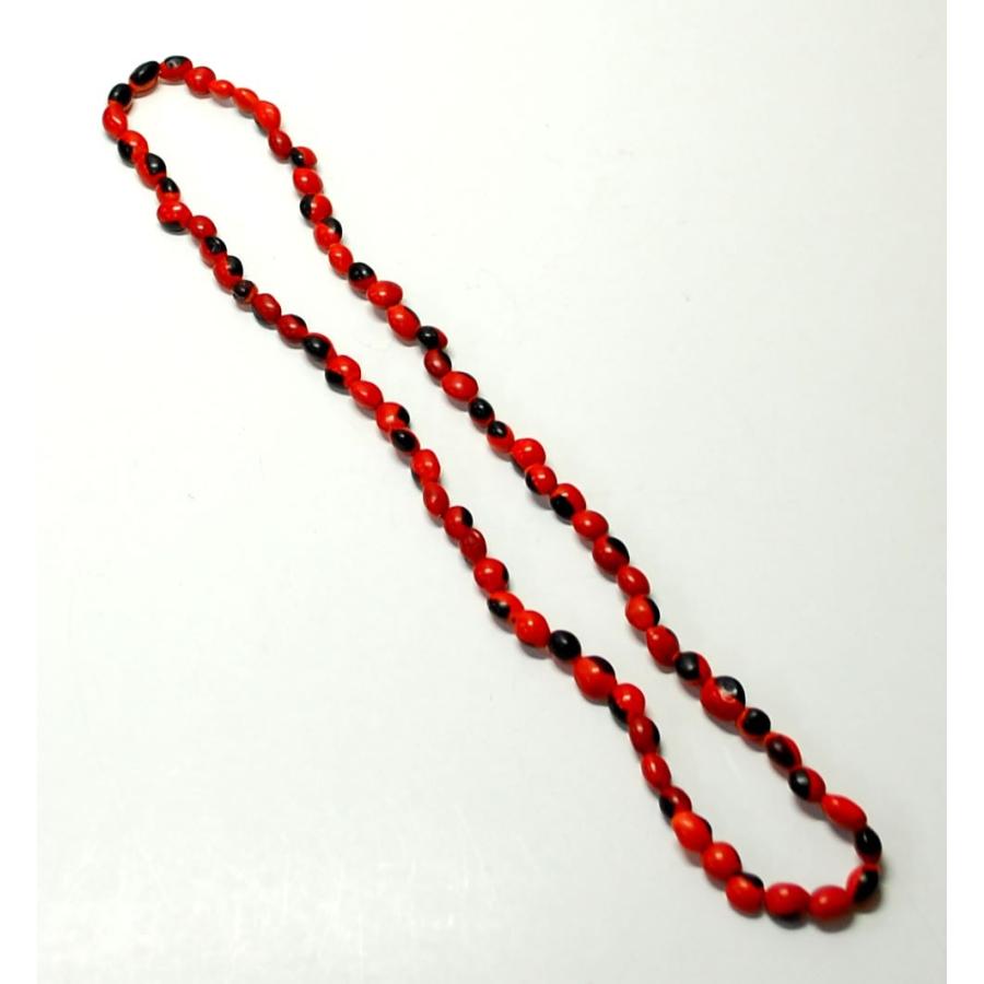 HUAIRURO NECKLACE】南米ペルーのお守り ワイルーロの実のネックレス1