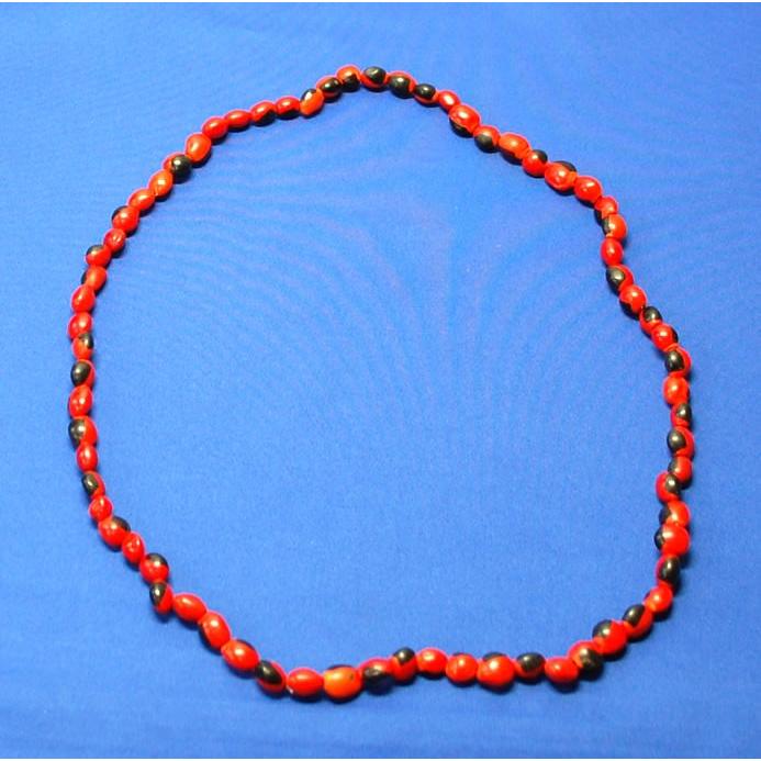 HUAIRURO NECKLACE】南米ペルーのお守り ワイルーロの実のネックレス1 