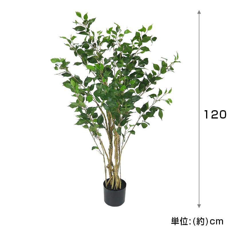 人工観葉植物 ベンジャミン 高さ120cm ビバホーム : ビバホーム