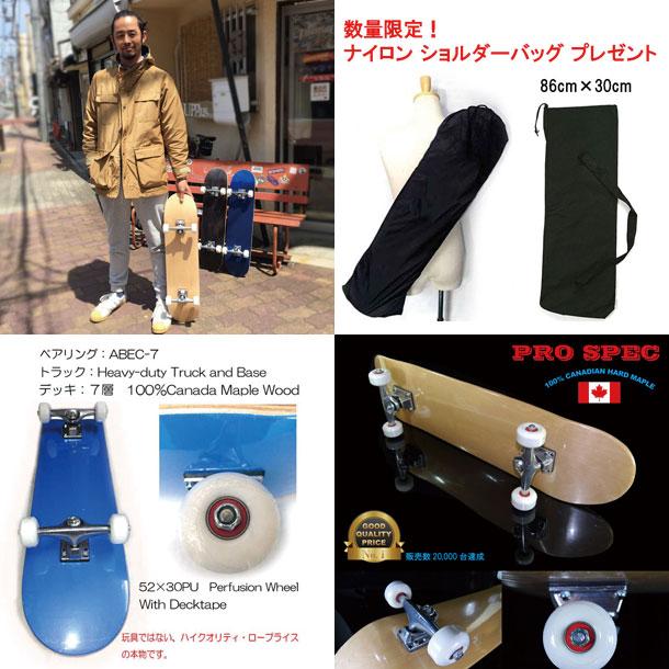 スケートボード コンプリート カナダ購入 バッグ付き スケートボード コンプリートセット スケボー ブランクデッキ カナダ