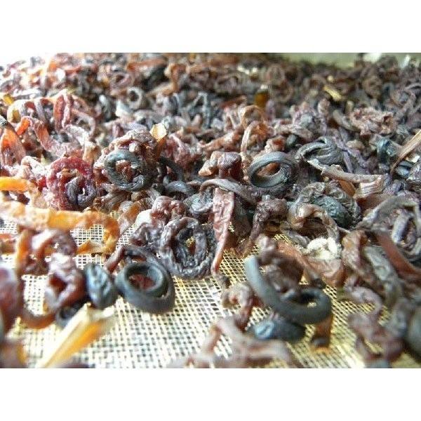 最大40%OFFクーポン高知県仁淀川町産 乾燥ぜんまい 80g 2023年採れ