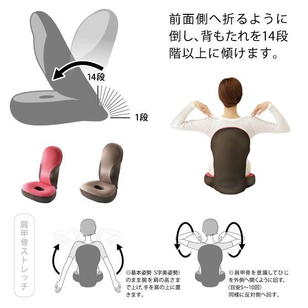 骨盤矯正 座椅子 クッション 勝野式 美姿勢習慣 姿勢 ＆ 骨盤