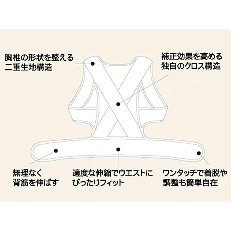 猫背矯正ベルト 中山式 男性 女性 男性用 医療用 姿勢矯正ベルト 猫背