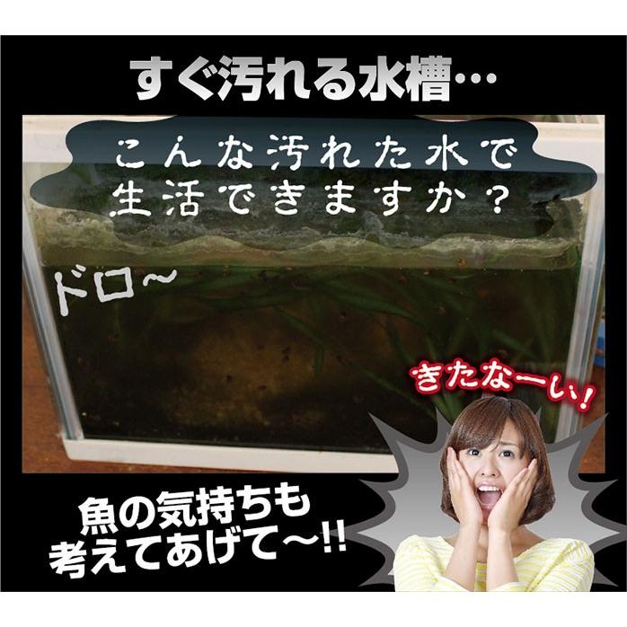 濾過 濾過装置 濾過フィルター 水槽 浄化生物 水換え 濾過器 水 濾過 濾過装置 濾過フィルター 水槽 浄化生物 水換え 濾過器 水