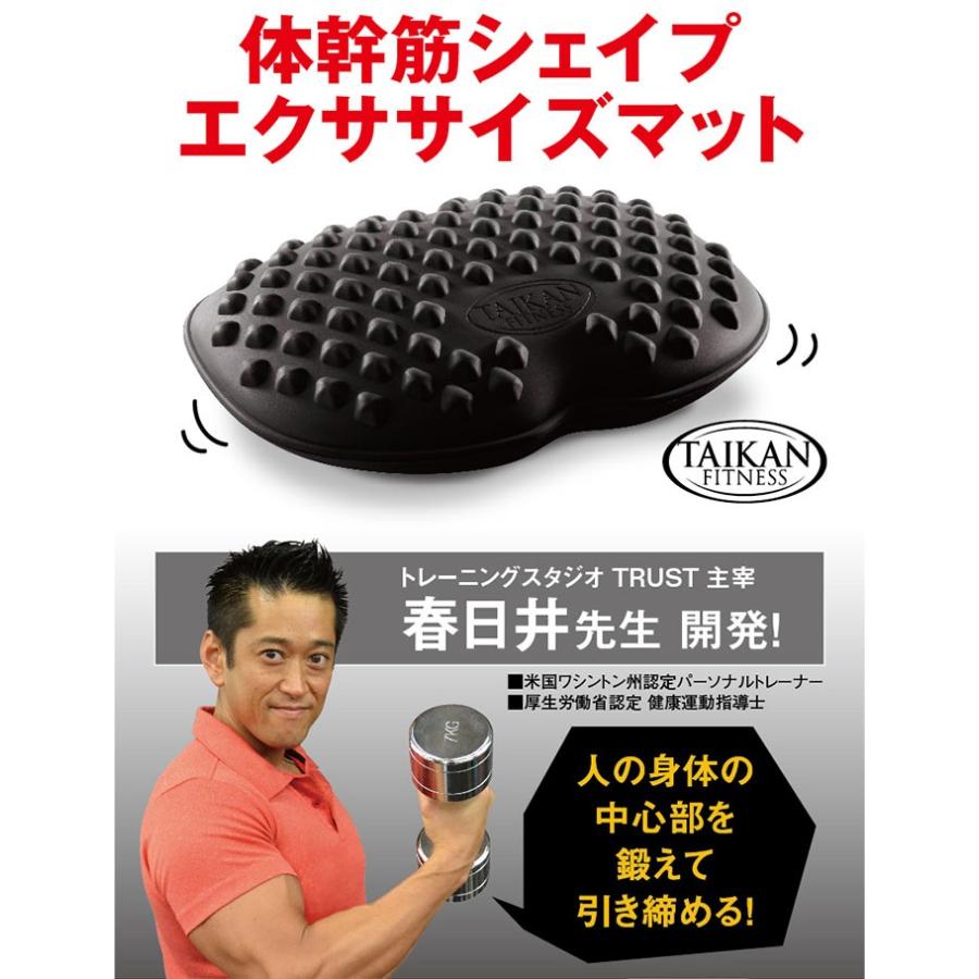 体幹 ダイエット クッション 体幹トレーニング トレーニング オフィス ダイエット器具 お腹周り エクササイズ 体幹筋 下腹 背中 ながら Pd Taikankinexb ヴィヴィアン マルシェ 通販 Yahoo ショッピング