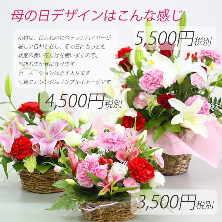 誕生日 花 母 フラワーアレンジメント ギフト 生花 プレゼント 花 おまかせアレンジ 4500円税別 Ar Omakase 04 ヴィヴィアン ネオ 通販 Yahoo ショッピング