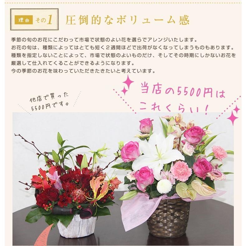 開店祝い 花 フラワーアレンジメント ギフト 生花 プレゼント 花 おまかせアレンジ 7000円税別｜vivian87｜02